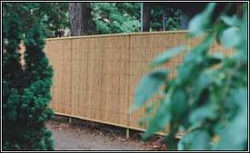 Good Neighbor Fence at www.thebigbamboocompany.com. Click to enlarge